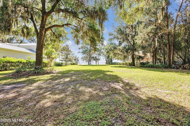 3079 Anderson Rd, Green Cove Springs, FL 32043 - photo 54