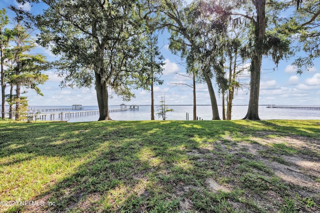 3079 Anderson Rd, Green Cove Springs, FL 32043 - photo 56