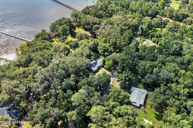 3079 Anderson Rd, Green Cove Springs, FL 32043 - photo 65