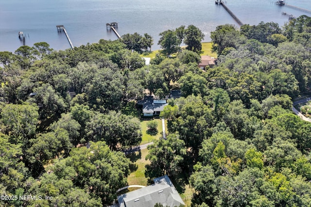 3079 Anderson Rd, Green Cove Springs, FL 32043 - photo 68