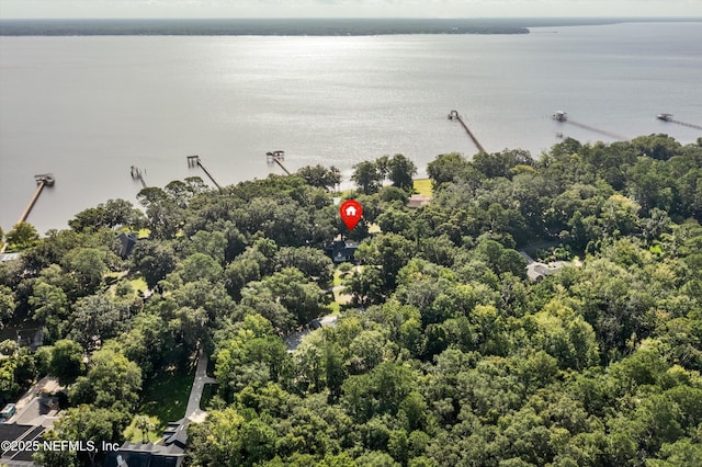3079 Anderson Rd, Green Cove Springs, FL 32043 - photo 69