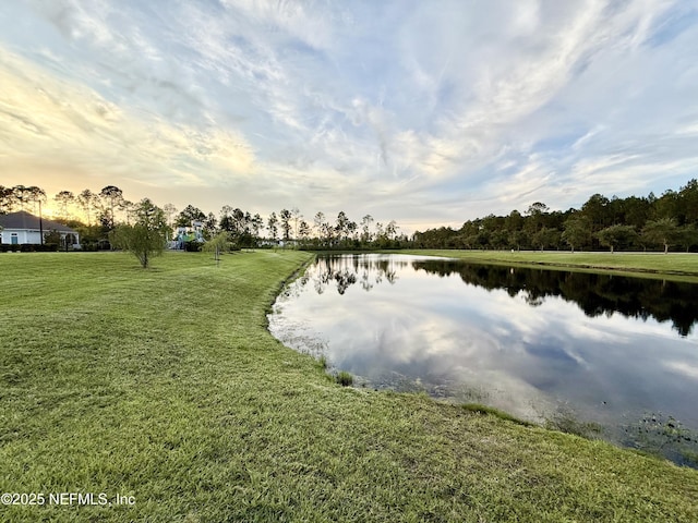 197 Brown Bear Run, Jacksonville, FL 32259 - photo 42