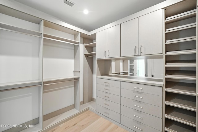 1509 Ocean Front, Neptune Beach, FL 32266 - spacious closet featuring light wood-style flooring