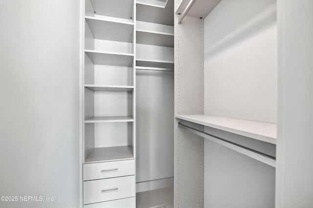 1509 Ocean Front, Neptune Beach, FL 32266 - view of spacious closet