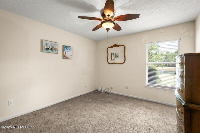 854 Timberjack Ct, Orange Park, FL 32065 - photo 29
