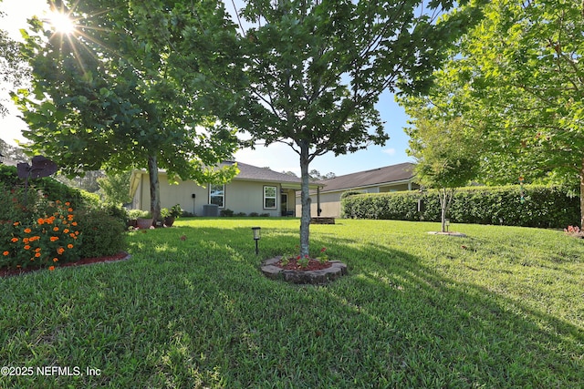 127 Colorado Springs Way, Saint Augustine, FL 32092 - view of green lawn