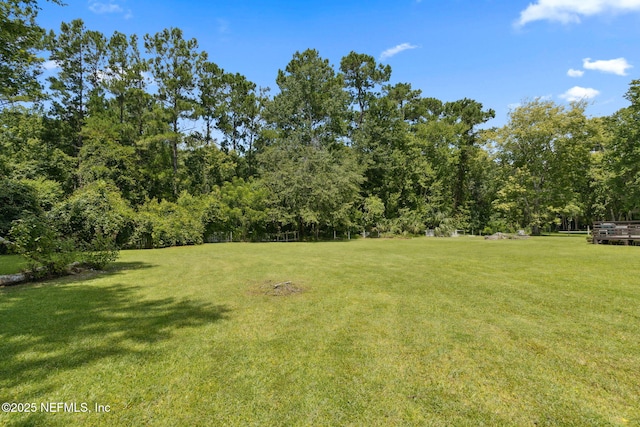 86385 Peeples Rd, Yulee, FL 32097 - view of green lawn