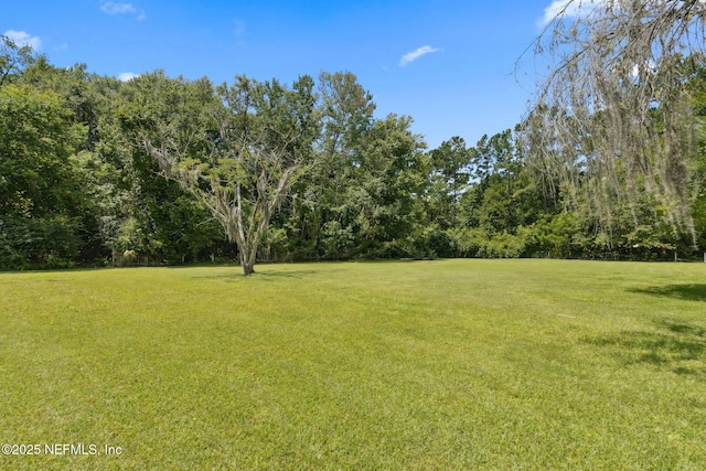 86385 Peeples Rd, Yulee, FL 32097 - view of grassy yard with a forest view