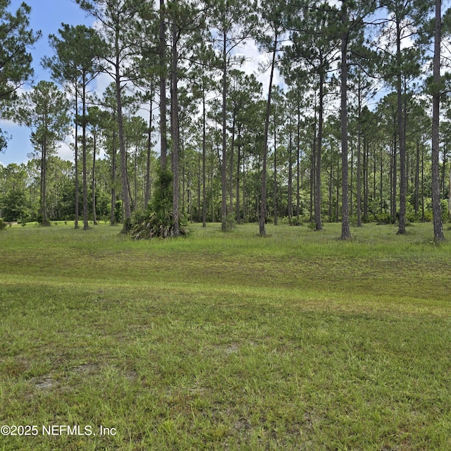 11053 Clarion Ct, Jacksonville, FL 32219 - photo 3