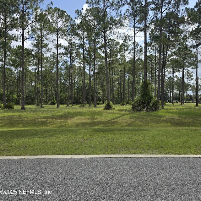 11053 Clarion Ct, Jacksonville, FL 32219 - photo 4
