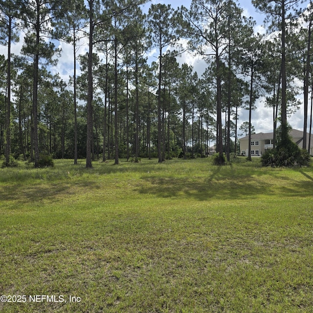11053 Clarion Ct, Jacksonville, FL 32219 - photo 5