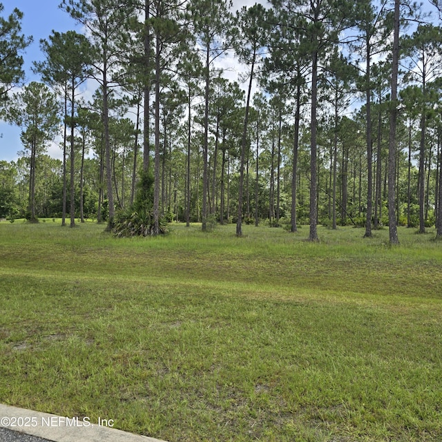 11053 Clarion Ct, Jacksonville, FL 32219 - photo 6