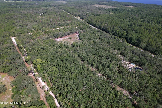 600 County Road 310, Palatka, FL 32177 - photo 16