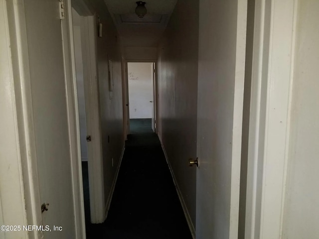 1419 W 33rd St, Jacksonville, FL 32209 - photo 7