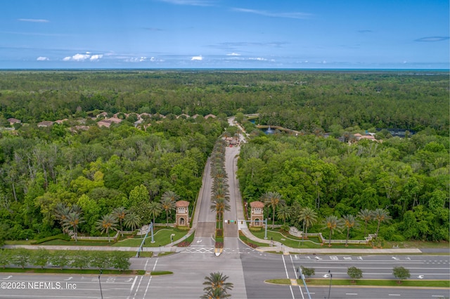 152 Goldenrod Park Rd, Ponte Vedra, FL 32081 - photo 55