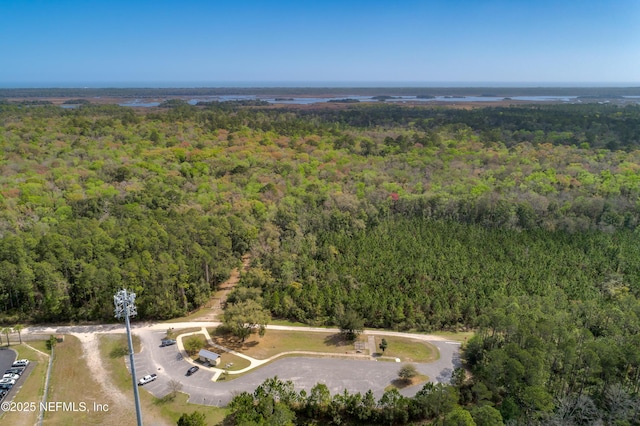 152 Goldenrod Park Rd, Ponte Vedra, FL 32081 - photo 63