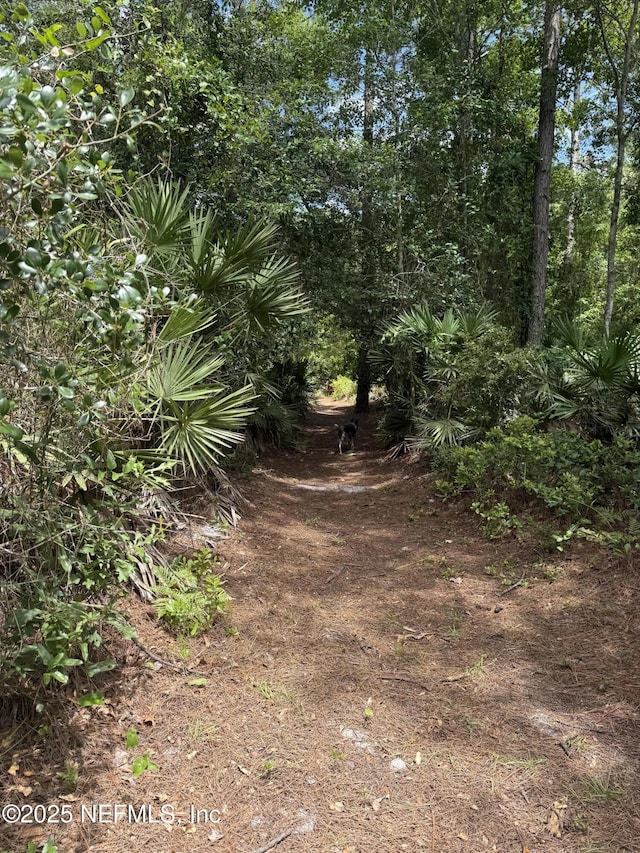 5342 Island Lake Dr, Jacksonville, FL 32226 - photo 2