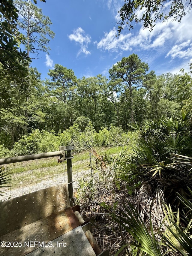 5342 Island Lake Dr, Jacksonville, FL 32226 - photo 4