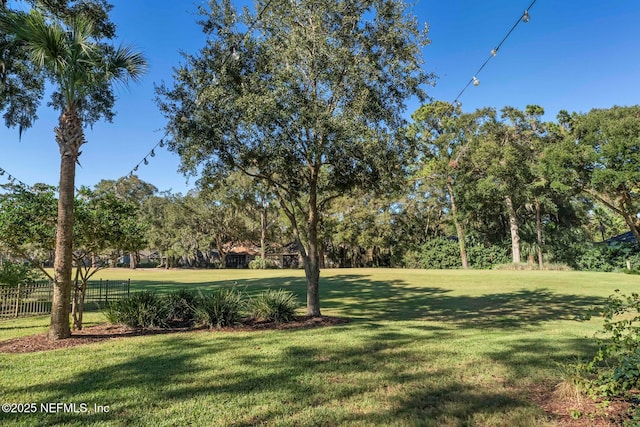 1614 Sheffield Park Ct, Jacksonville, FL 32225 - view of yard with view of wooded area