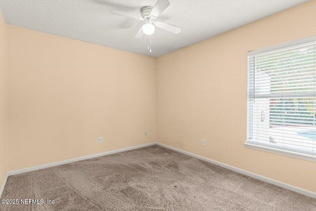 12433 Arrowleaf Ln, Jacksonville, FL 32225 - photo 30