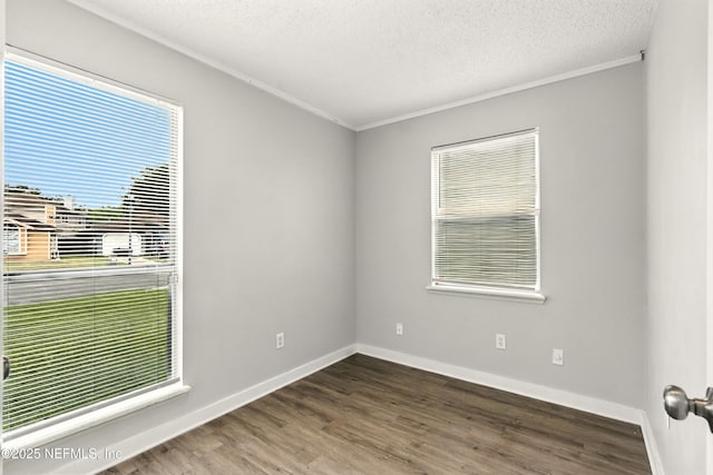 6719 Newgate Cir E, Jacksonville, FL 32244 - spare room with wood finished floors, ornamental molding, and a textured ceiling