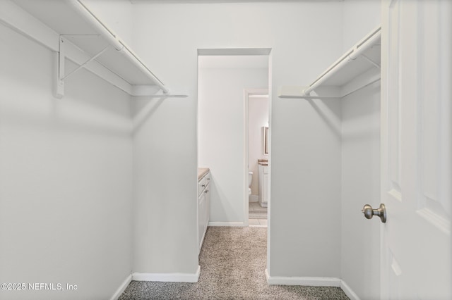 8880 Old Kings Rd S Unit 68, Jacksonville, FL 32257 - photo 24