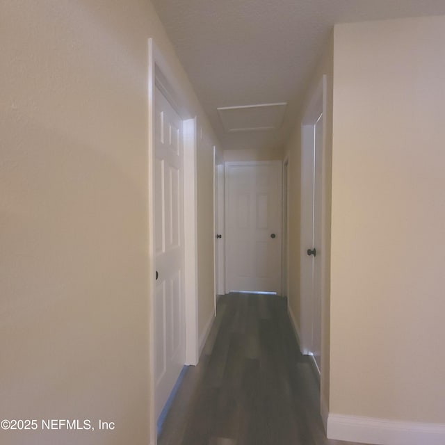 3824 Nancy St, Jacksonville, FL 32209 - photo 5