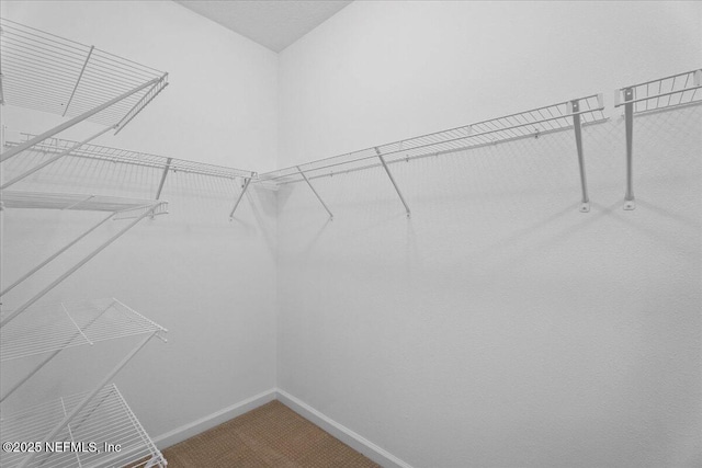 227 Wind Chime Ln, Saint Augustine, FL 32095 - spacious closet featuring carpet floors