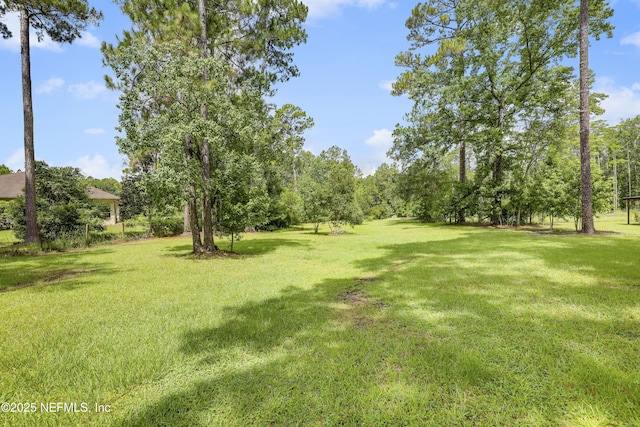 4485 State Road 16, Saint Augustine, FL 32092 - photo 68