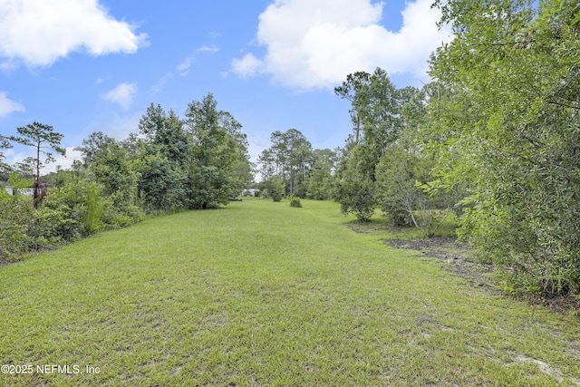 4485 State Road 16, Saint Augustine, FL 32092 - photo 71