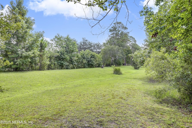 4485 State Road 16, Saint Augustine, FL 32092 - photo 72