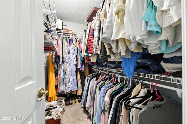 145 E Blackjack Branch Way, Saint Johns, FL 32259 - walk in closet featuring carpet flooring