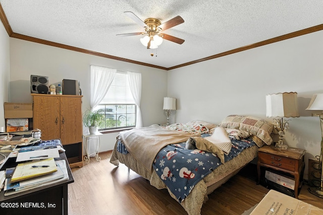 12735 Morning Dove Ct, Jacksonville, FL 32258 - photo 9