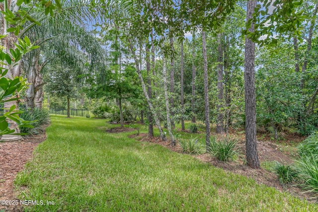 141 Union Hill Dr, Ponte Vedra, FL 32081 - photo 64