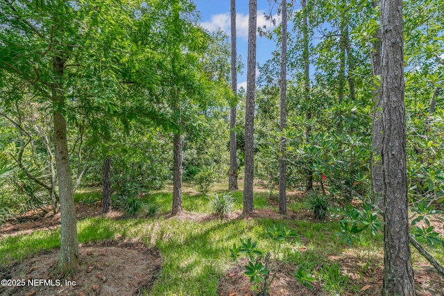 141 Union Hill Dr, Ponte Vedra, FL 32081 - photo 65
