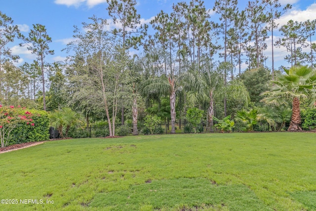 141 Union Hill Dr, Ponte Vedra, FL 32081 - photo 55