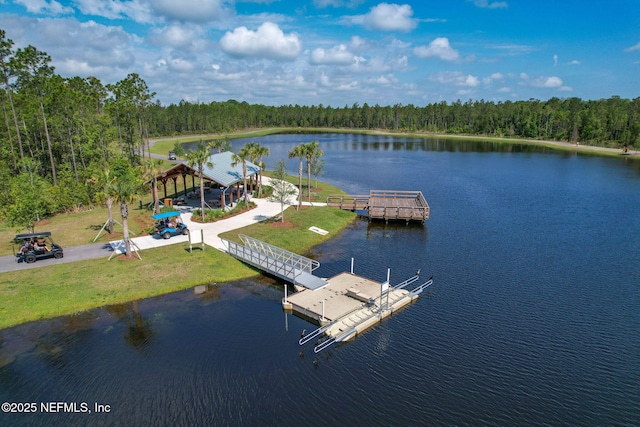 141 Union Hill Dr, Ponte Vedra, FL 32081 - photo 92