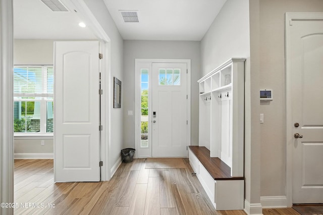 214 Gap Creek Dr, Saint Johns, FL 32259 - mudroom featuring healthy amount of natural light and light wood-style flooring