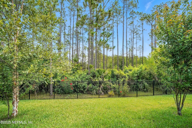 214 Gap Creek Dr, Saint Johns, FL 32259 - view of yard