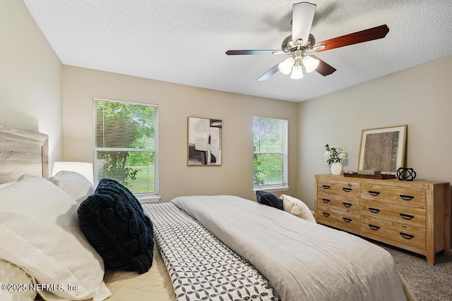 1946 Coldfield Dr W, Jacksonville, FL 32246 - photo 34