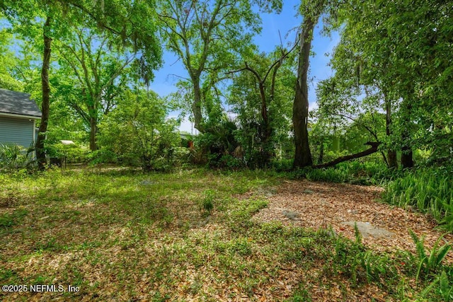438 W 26th St, Jacksonville, FL 32206 - photo 23