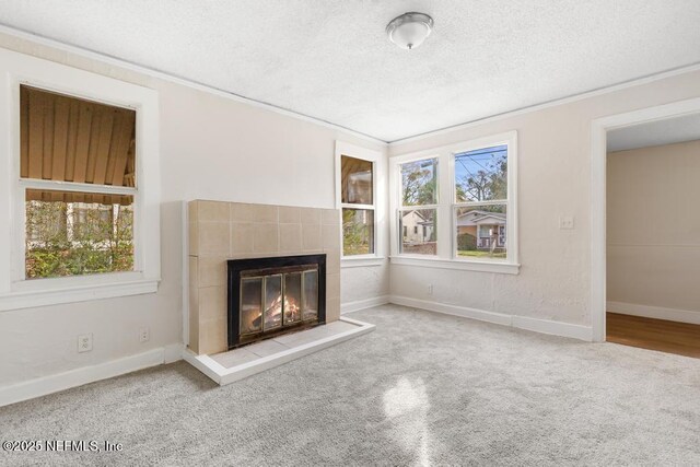 1171 W 12th St, Jacksonville, FL 32209 - photo 10