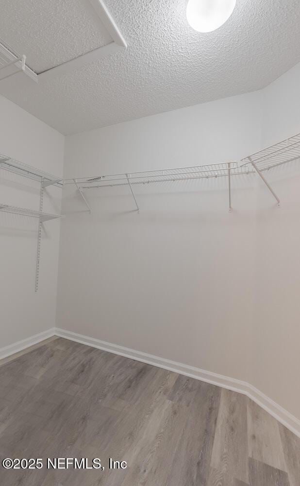 1203 Summer Springs Dr, Middleburg, FL 32068 - walk in closet featuring wood finished floors