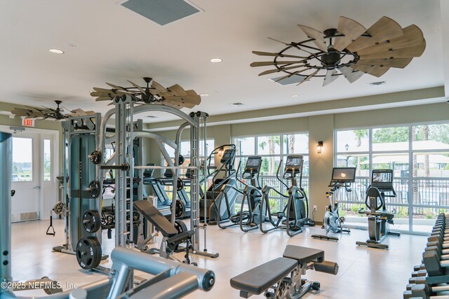 2692 Field Daisy Ln, Green Cove Springs, FL 32043 - exercise room featuring plenty of natural light, ceiling fan, and recessed lighting