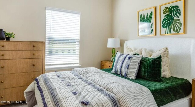 2692 Field Daisy Ln, Green Cove Springs, FL 32043 - bedroom with multiple windows