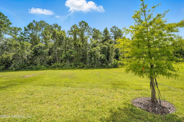 1578 Stillwater Blvd, Saint Johns, FL 32259 - photo 27