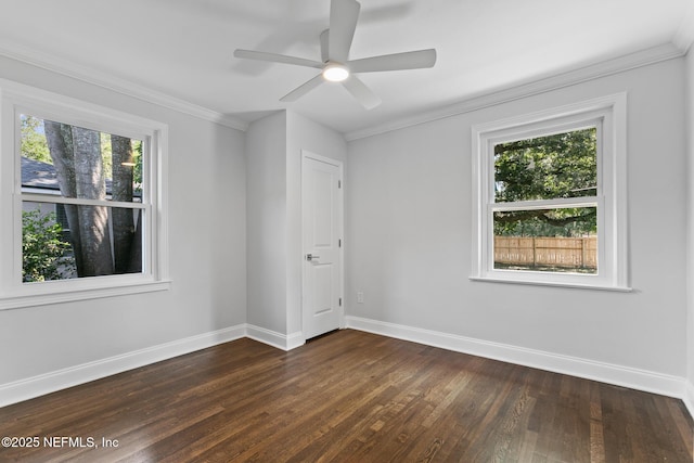 4183 Birmingham Rd, Jacksonville, FL 32207 - photo 29