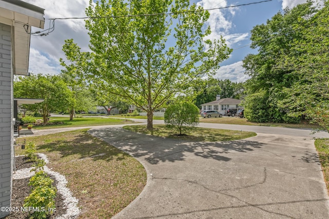 4183 Birmingham Rd, Jacksonville, FL 32207 - photo 3