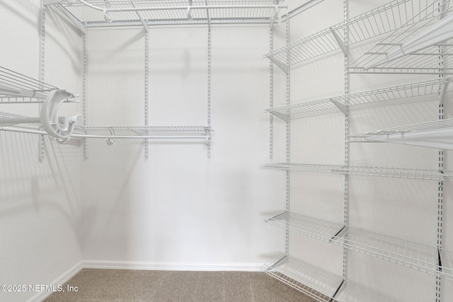 25122 Chipshot Ct, Sorrento, FL 32776 - spacious closet with carpet flooring