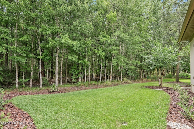 2645 Oakgrove Ave, Saint Augustine, FL 32092 - view of green lawn